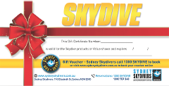 Gift Card $100